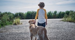 First Photo From Stephen King's IN THE TALL GRASS, Which Is Set to Premiere at Fantastic Fest