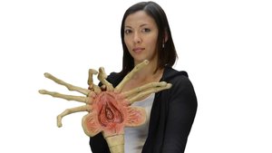 NECA Reveals It's ALIEN Facehugger Life-Size Foam Replica