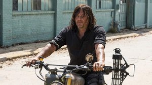 Norman Reedus Set to Star in Jeff Nichols' New Film THE BIKERIDERS